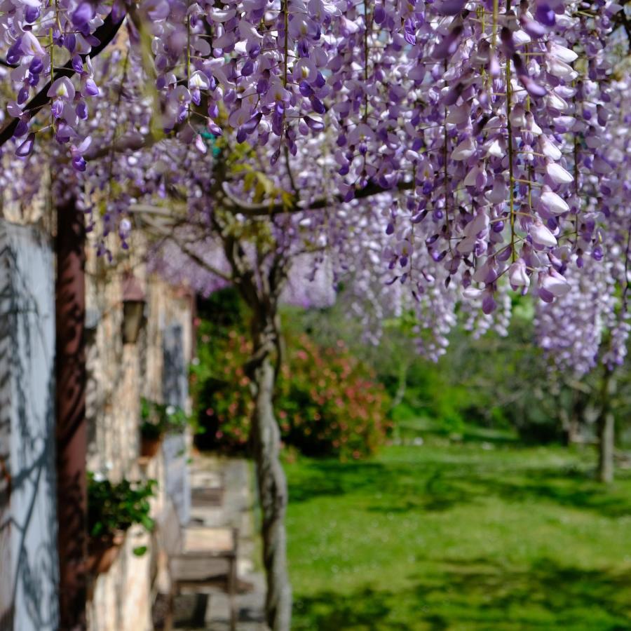 Gasthaus Il Casale Del Duca Urbino Exterior foto
